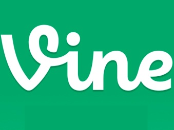 Vine